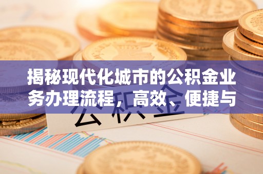 布袋揭秘现代化城市的公积金业务办理流程，高效、便捷与未来趋势