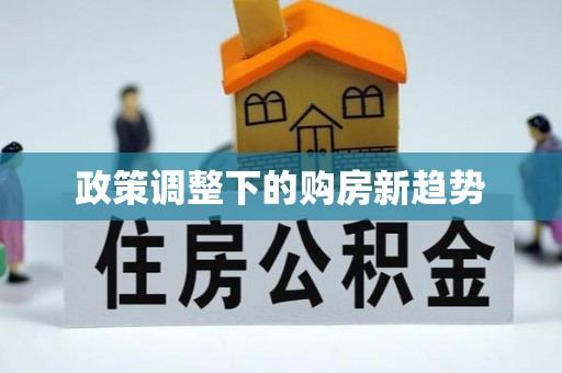 布袋政策调整下的购房新趋势