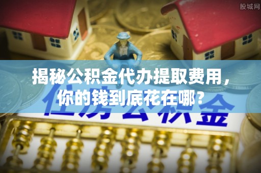 布袋揭秘公积金代办提取费用，你的钱到底花在哪？