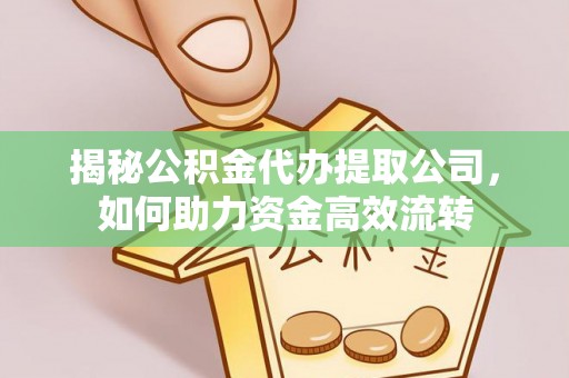布袋揭秘公积金代办提取公司，如何助力资金高效流转