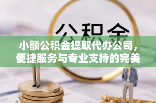 布袋小额公积金提取代办公司，便捷服务与专业支持的完美结合