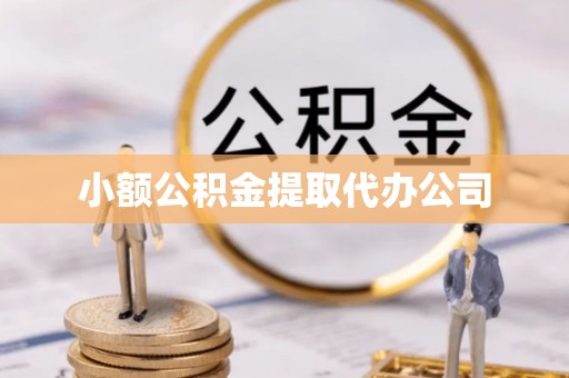 布袋小额公积金提取代办公司