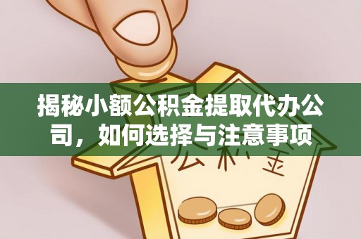 布袋揭秘小额公积金提取代办公司，如何选择与注意事项