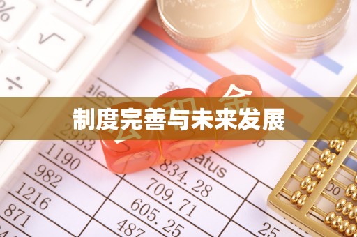 布袋制度完善与未来发展