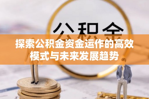 布袋探索公积金资金运作的高效模式与未来发展趋势