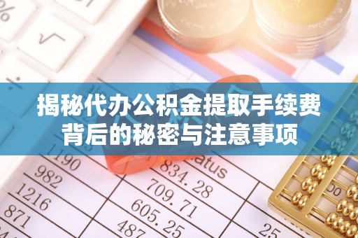 布袋揭秘代办公积金提取手续费背后的秘密与注意事项