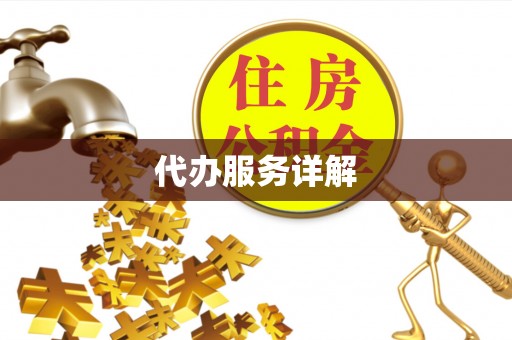 布袋代办服务详解