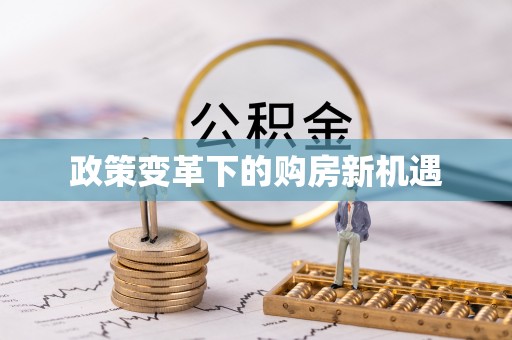 布袋政策变革下的购房新机遇