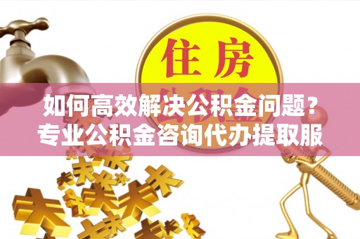 布袋如何高效解决公积金问题？专业公积金咨询代办提取服务来帮你