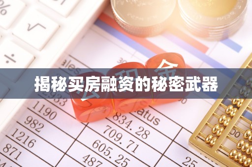 布袋揭秘买房融资的秘密武器
