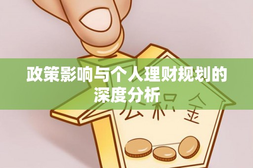 布袋政策影响与个人理财规划的深度分析