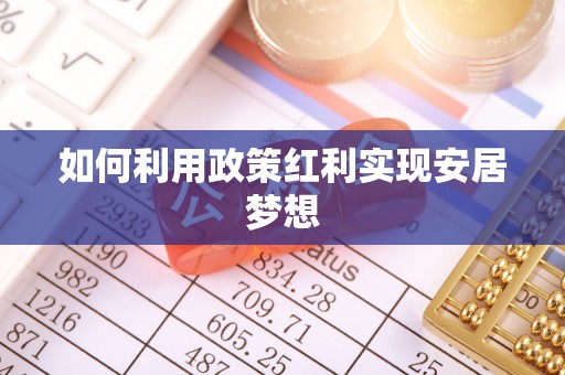 布袋如何利用政策红利实现安居梦想
