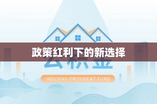 布袋政策红利下的新选择