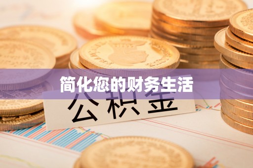布袋简化您的财务生活