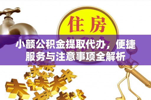 布袋小额公积金提取代办，便捷服务与注意事项全解析