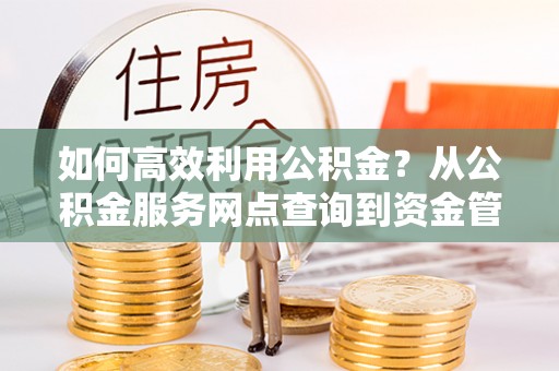 布袋如何高效利用公积金？从公积金服务网点查询到资金管理全攻略
