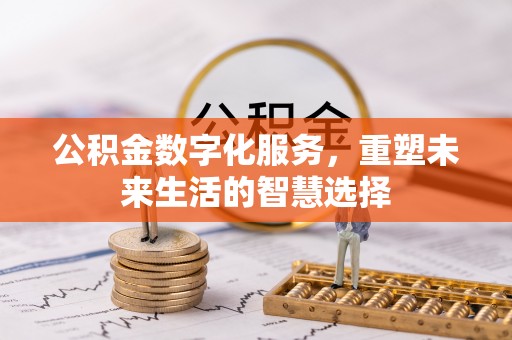 布袋公积金数字化服务，重塑未来生活的智慧选择