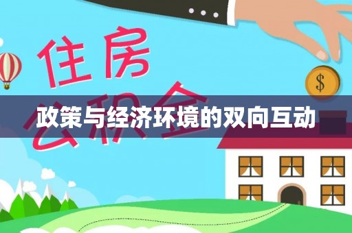 布袋政策与经济环境的双向互动