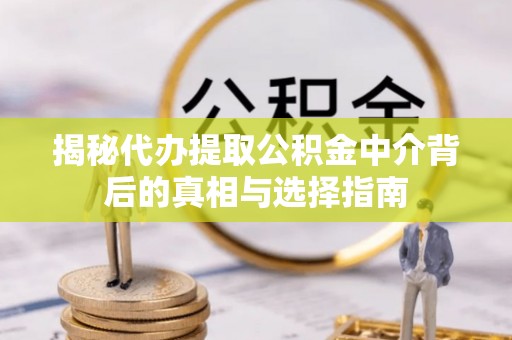 布袋揭秘代办提取公积金中介背后的真相与选择指南