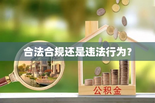 布袋合法合规还是违法行为？