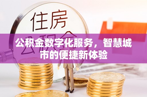 布袋公积金数字化服务，智慧城市的便捷新体验