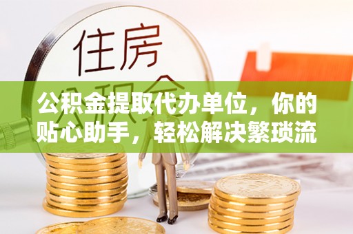 布袋公积金提取代办单位，你的贴心助手，轻松解决繁琐流程