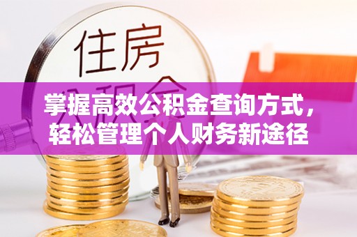 布袋掌握高效公积金查询方式，轻松管理个人财务新途径