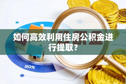 布袋如何高效利用住房公积金进行提取？