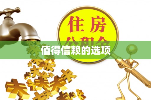 布袋值得信赖的选项
