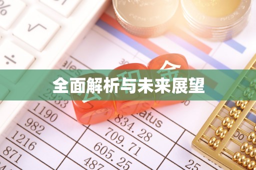 布袋全面解析与未来展望