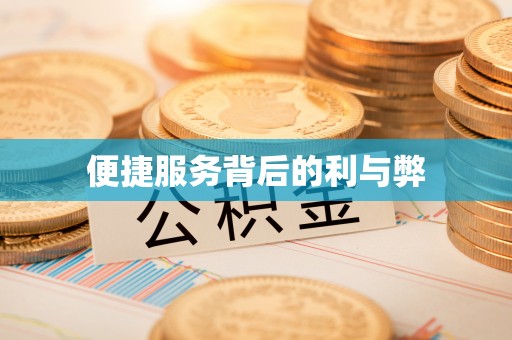 布袋便捷服务背后的利与弊