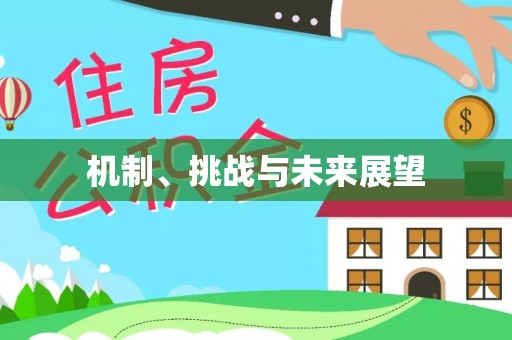 布袋机制、挑战与未来展望
