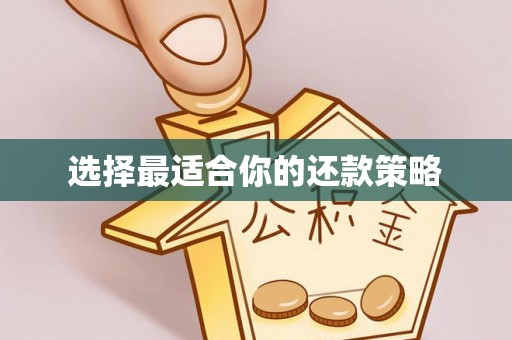 布袋选择最适合你的还款策略