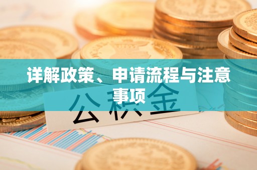 布袋详解政策、申请流程与注意事项